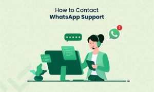 Contact WhatsApp Support