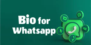 Biography for WhatsApp